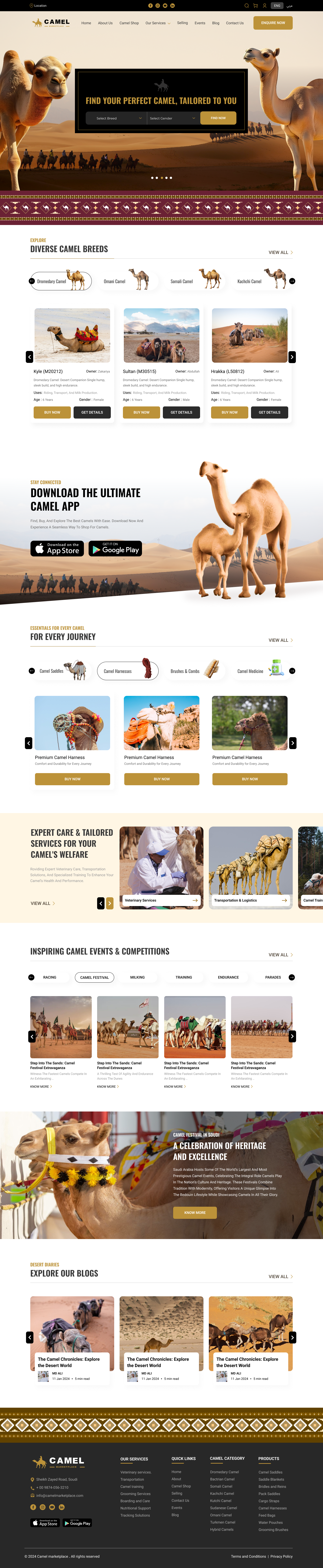 ui ux
